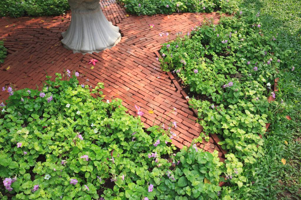 Baan Khun Nine Wang Doem Hotel Bangkok Exterior photo